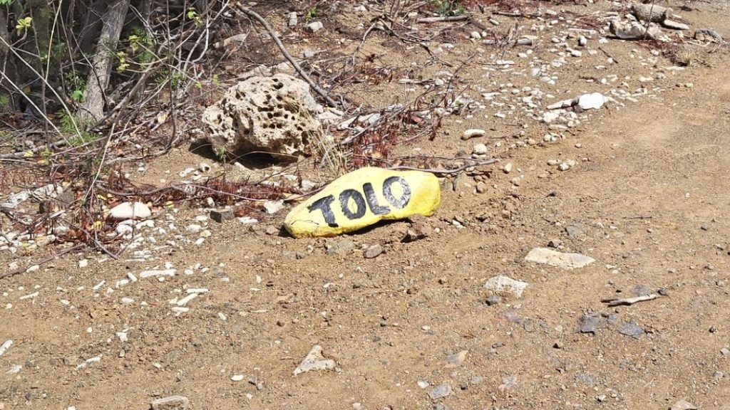 Yellow Rock with dive site name